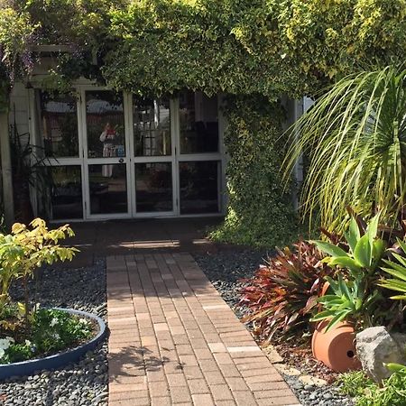 The Olive Grove Guest House Te Kopuru Екстериор снимка